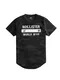 HOLLISTER T-Shirt grau / schwarz / weiß