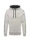 HOLLISTER Sweatshirt grau