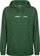 Tommy Jeans Sweatshirt grün / weiß