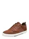GEOX Sneaker ''''U Kaven'''' cognac / weiß