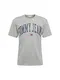 Tommy Jeans T-Shirt dunkelblau / graumeliert