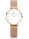 Daniel Wellington Analogové hodinky 'Petite Melrose RG White'  růžově zlatá