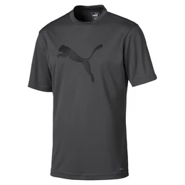 PUMA Trikot basaltgrau