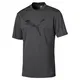 PUMA Trikot basaltgrau