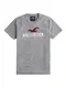 HOLLISTER Shirt ''''DTC SS ICONIC TECH LOGO'''' grau