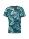 TOM TAILOR T-Shirt mischfarben / schwarz