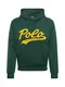 POLO RALPH LAUREN Sweatshirt ''''DOUBLE KNIT TECH-LS PO M17'''' gelb / dunkelgrün