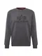 ALPHA INDUSTRIES Sweatshirt anthrazit / dunkelgrau