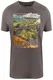 Finn Flare T-Shirt grau