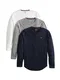 HOLLISTER Shirts grau / schwarz / weiß