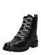 STEVE MADDEN Gležnjače na vezanje 'TESS'  crna