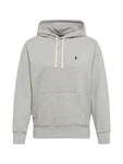 Polo Ralph Lauren Sweatshirt grau