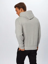 Polo Ralph Lauren Sweatshirt grau