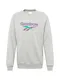 Reebok Classic Sweatshirt ''''CL V UNISEX CREW'''' lila / grau