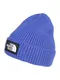 THE NORTH FACE Beanie ''''Logo Box Cuffed'''' blau