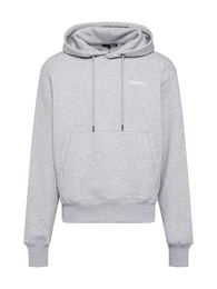 ABOUT YOU x Magic Fox Hoodie ''''Milo'''' grau