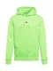 Tommy Jeans Sweatshirt ''''NEON SMALL LOGO HOODIE'''' weiß / neongrün