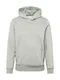 GAP Sweatshirt ''''SUEDED PO HOOD'''' grau