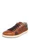 BULLBOXER Sneaker cognac / navy