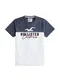 HOLLISTER Shirt ''''SS CORE TECH LOGO BLOCKING'''' navy