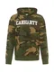 Carhartt WIP Sweatshirt grün / oliv / braun