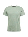 Iriedaily T-Shirt 'Chamisso' mint