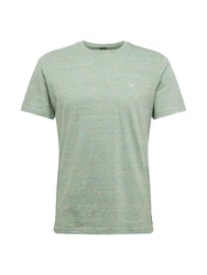 Iriedaily T-Shirt 'Chamisso' mint