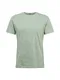 Iriedaily T-Shirt 'Chamisso' mint