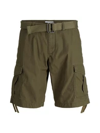 Shorts ''''JJCHARLIE'''' dunkelgrün