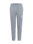 ARMANI EXCHANGE Hose '8NZPPA' grau