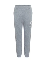 ARMANI EXCHANGE Hose '8NZPPA' grau