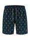 Shiwi Badehose `Palmtree´ blau