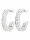 Ted Baker Nunice ''''SEANNA: SMALL CRYSTAL HOOP EARRING''''  stbrn