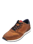 Lloyd Sneaker EDMOND Cigar