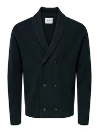 Blazer navy
