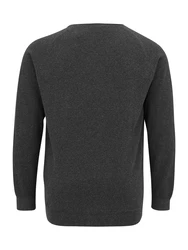 Jack & Jones Plus Pullover 'JJEHILL' dunkelgrau