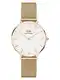 Daniel Wellington Analogni sat 'Petite'  zlatna / bijela