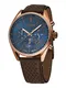 BOSS Casual Uhr ''''CHAMPION'''' dunkelbraun / rosegold / dunkelblau