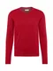 TOM TAILOR Pullover rot