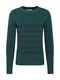 TOM TAILOR DENIM Pullover dunkelgrün / dunkelblau