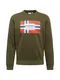 NAPAPIJRI Sweatshirt ''''Bera'''' grün / rot / weiß / blau