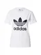 ADIDAS ORIGINALS Tričko 'Adicolor Classics Trefoil'  černá / bílá