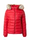 Tommy Jeans Zimn bunda  erven