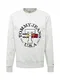 Tommy Jeans Majica ''''TIMELESS''''  srebrno-siva / pegasto siva / temno modra / zlata / rdeča