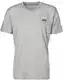 ALPHA INDUSTRIES T-Shirt grau / schwarz