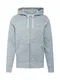 HOLLISTER Jopa na zadrgo  pegasto siva