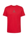 Jordan T-Shirt 'Jumpman' anthrazit/rot