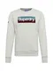 Superdry Sweatshirt graumeliert / schwarz / türkis / weiß