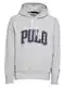 Polo Ralph Lauren Sweatshirt grau / nachtblau