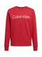 Calvin Klein Majica  rdeča / bela